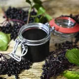 bez-czarny-sampo-2l-nazwa-lacinska-sambucus-nigra