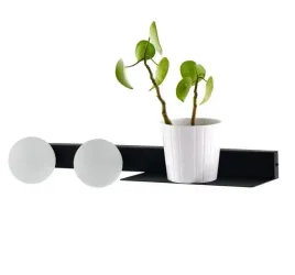 kinkiet-z-polka-botanica-deco-20853202-kaspa
