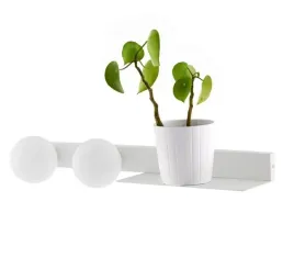 kinkiet-z-polka-botanica-deco-20852201-kaspa