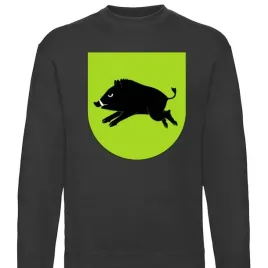 bluza-b-cz-gmina-kiernozia