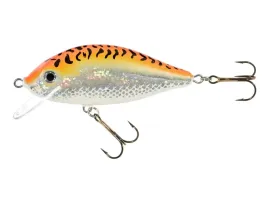 jaxon-wobler-holo-select-karas-11cm