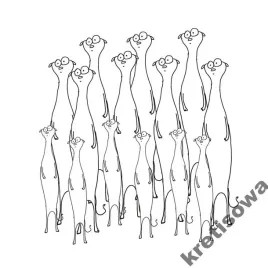 meska-koszulka-surykatka-surykatki-wzory-s1c