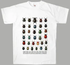 starodruk-owady-chrzaszcze-chrabaszcze-zuki-3