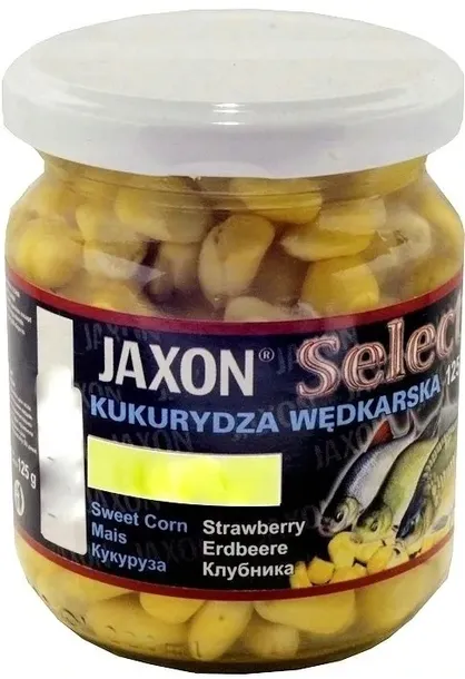 kukurydza-miod-125g-przeznaczenie-amury-karasie-karpie-leszcze-plocie