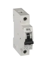 wylacznik-nadpradowy-nadmiarowo-pradowy-1p-1a-230-400v-na-szyne-th35