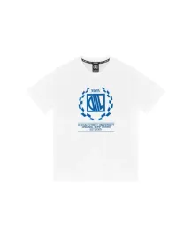 koszulka-meska-t-shirt-diil-laur-bialo-niebieska