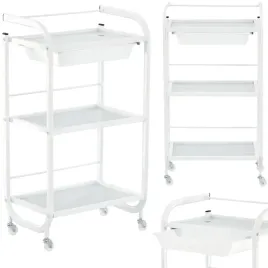 wozek-pomocnik-stolik-fryzjerski-kosmetyczny-spa-do-salonu-na-kolkach-calis