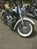gmole-przednie-harley-softail-chrom-stan-nowy