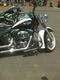 gmole-przednie-harley-softail-chrom-stan-nowy