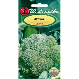 brokul-cezar-nasiona-legutko