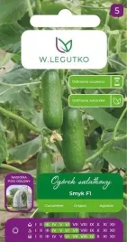 ogorek-salatkowy-smyk-f1-odmiana-partenokarpiczna-nasiona-legutko