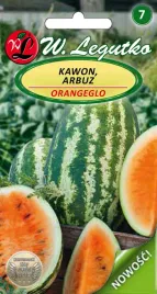 arbuz-pomaranczowy-kawon-orangeglo-1g-nasiona-legutko