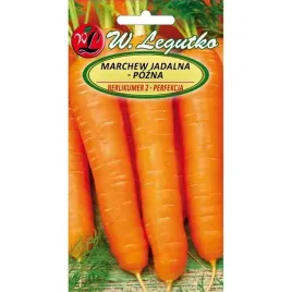 marchew-berlikumer-2-perfekcja-5g-nasiona-legutko