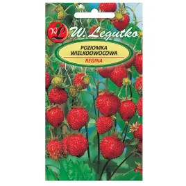 poziomka-wielkoowocowa-regina-nasiona-legutko-01g