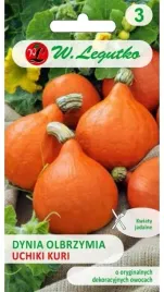 dynia-olbrzymia-uchiki-kuri-typ-hokkaido-3g-nasiona-legutko
