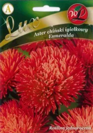 aster-chinski-esmeralda-igielkowy-czerwony-0-50g-nasiona-legutko
