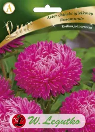 aster-chinski-rosamunde-igielkowy-rozowy-0-50g-nasiona-legutko