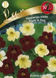 nasturcja-niska-nightandday-nasiona-legutko