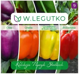 kolekcja-papryk-slodkich-quadrato-roso-robertina-oda-orela-nasiona-legutko