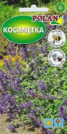 kocimietka-fioletowa-0-2-g-miododajna-nasiona-polan