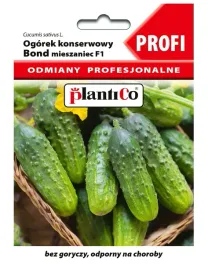 ogorek-konserwowy-bond-f1-odporny-nasiona-2g-plantico