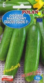 ogorek-gruntowy-gracius-gladki-salatkowy-plenny-smaczny-nasiona-polan