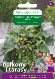 ogorek-gruntowy-salatkowy-balkon-dar-nasiona-5g-legutko