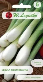 cebula-siedmiolatka-winter-nest-2-g-nasiona-legutko