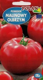 pomidor-malinowy-olbrzym-wysoki-05g-nasiona-polan