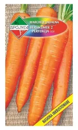 marchew-berlikumer-2-perfekcja-5g-nasiona-zaprawiane-spojnia