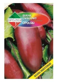 burak-cwiklowy-opolski-podluzny-bardzo-plenny-10g-nasiona-spojnia