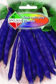 fasola-zwykla-tyczna-fioletowa-blauhilde-10g-nasiona-spojnia