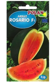 arbuz-rosario-f1-1g-wczesny-slodki-kawon-odporny-wysoki-plonnasiona-polan