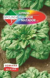 szpinak-matador-20g-nasiona-spojnia