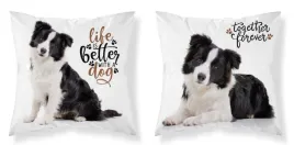piesek-pies-collie-poduszka-jasiek-dzieci-wklad