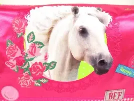konie-torebka-torba-listonoszka