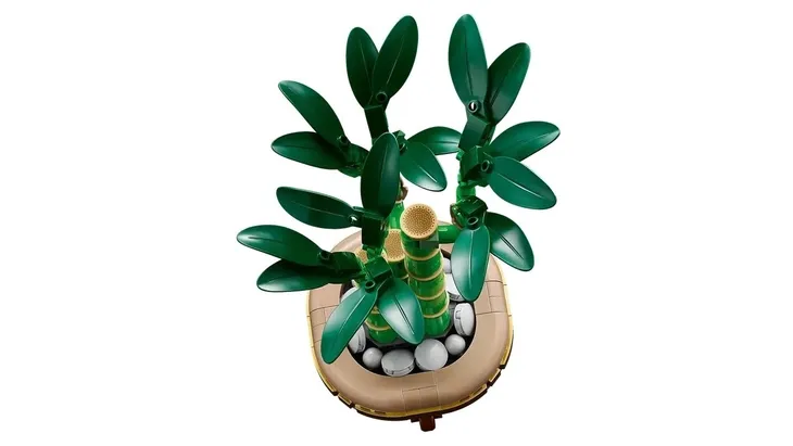 lego-botanical-collection-10344-dracena-sandera-certyfikaty-opinie-atesty-ce