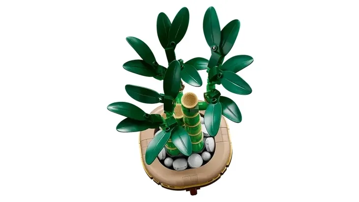 lego-botanical-collection-10344-dracena-sandera-stan-nowy-wiek-dziecka-18-lat