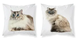 poszewka-dwustronna-40x40-kot-koty-cat-zwierzeta-wklad