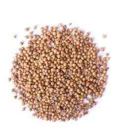 planteon-kolendra-ziarno-50g