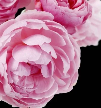 yodeyma-eau-de-parfum-cheante-100ml-edp-stan-opakowania-oryginalne