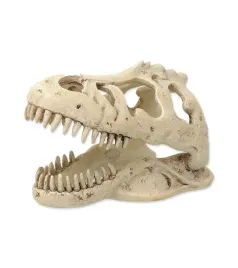 czaszka-dinozaura-t-rex-repti-planet