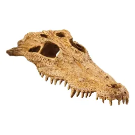 czaszka-krokodyla-22-cm-crocodile-skull-exo-terra