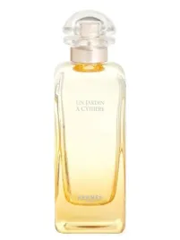 hermes-un-jardin-a-cythere-100ml-edt-oryginalne