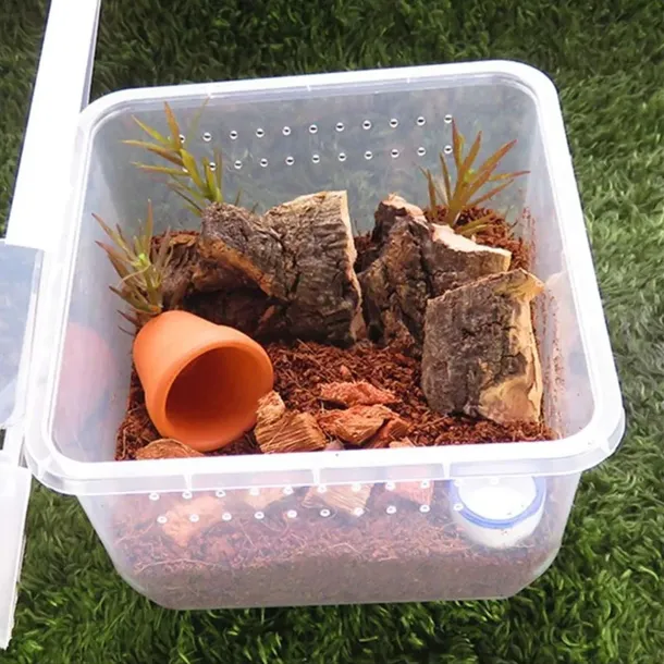 terrario-insect-box-compact-12x12x7cm-produkt-wprowadzony-do-obrotu-na-terenie-ue-przed-13-12-2024-tak