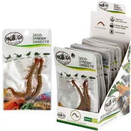 probugs-eco-fresh-scolopendra-centipede-15-x-2pcs-swieze-skolopendry-15-s