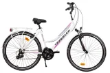 rower-traveler-iguana-v1-28