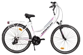 rower-traveler-iguana-v1-28