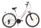 rower-traveler-iguana-v1-28-rozmiar-kola-28
