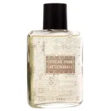 pan-drwal-steam-punk-aftershave-100-ml-marka-pan-drwal